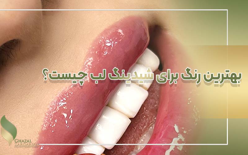 شیدینگ لب رنگ گوشتی