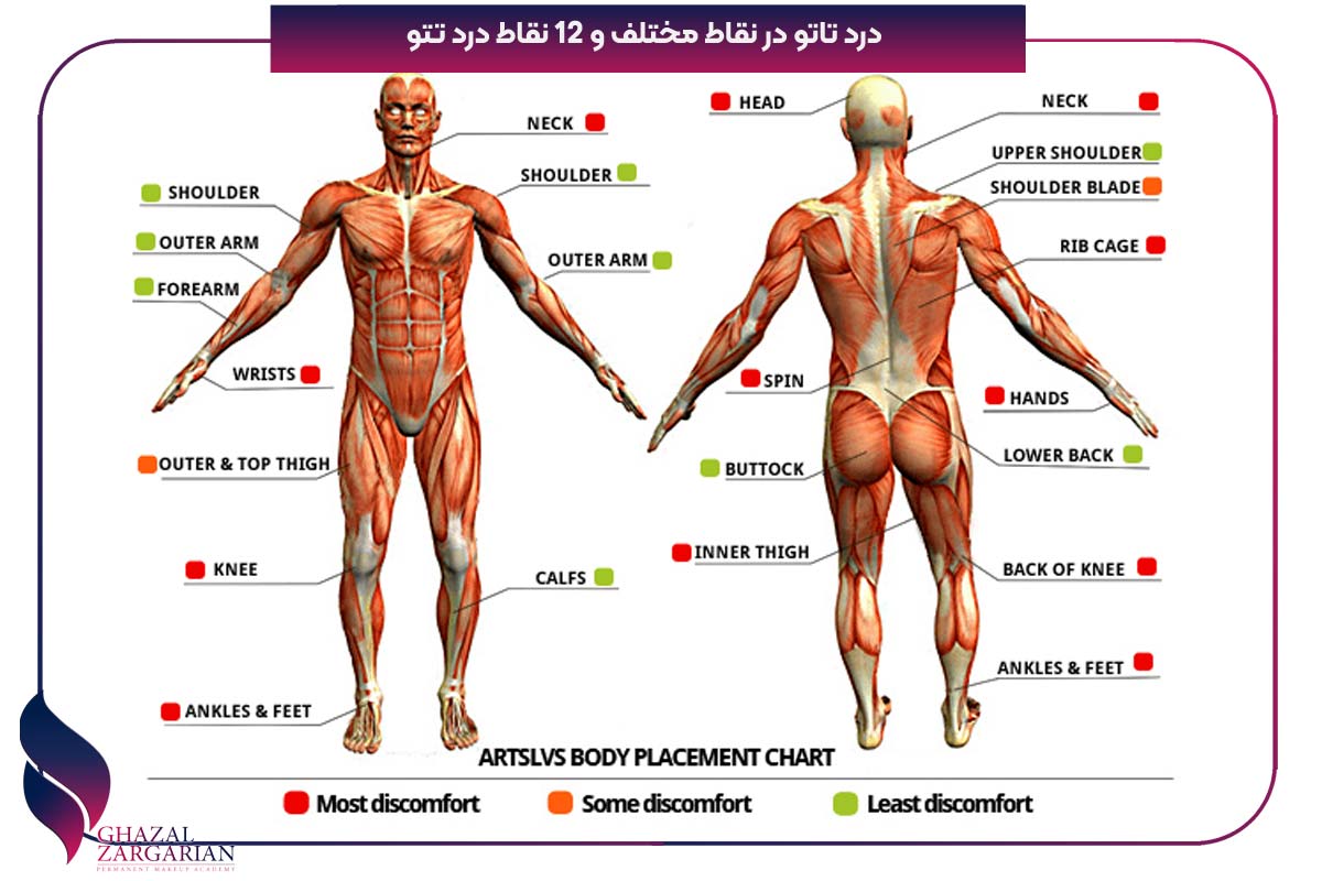 درد تاتو در نقاط مختلف و 12 نقاط درد تتو