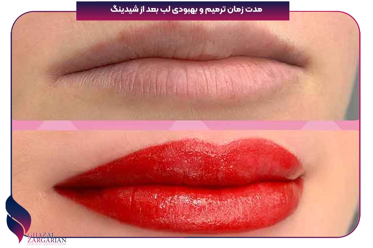 شیدینگ لب رنگ گوشتی