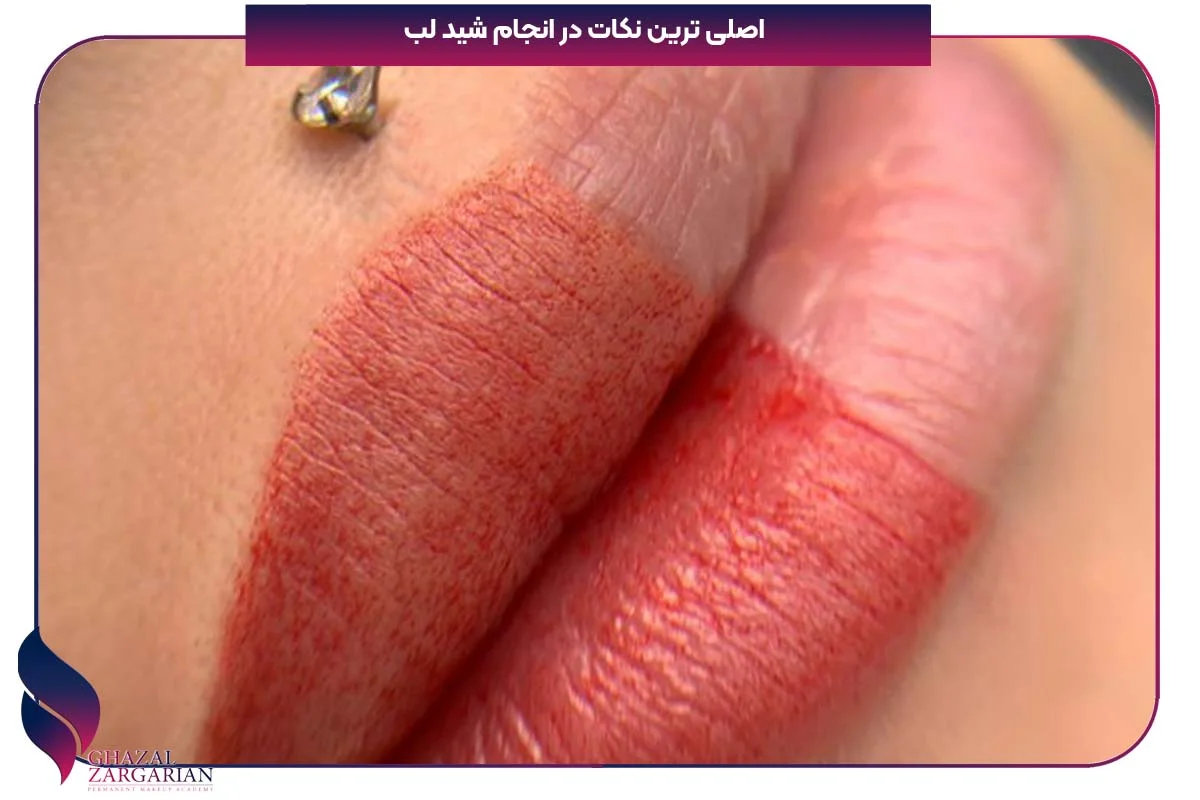 شیدینگ لب