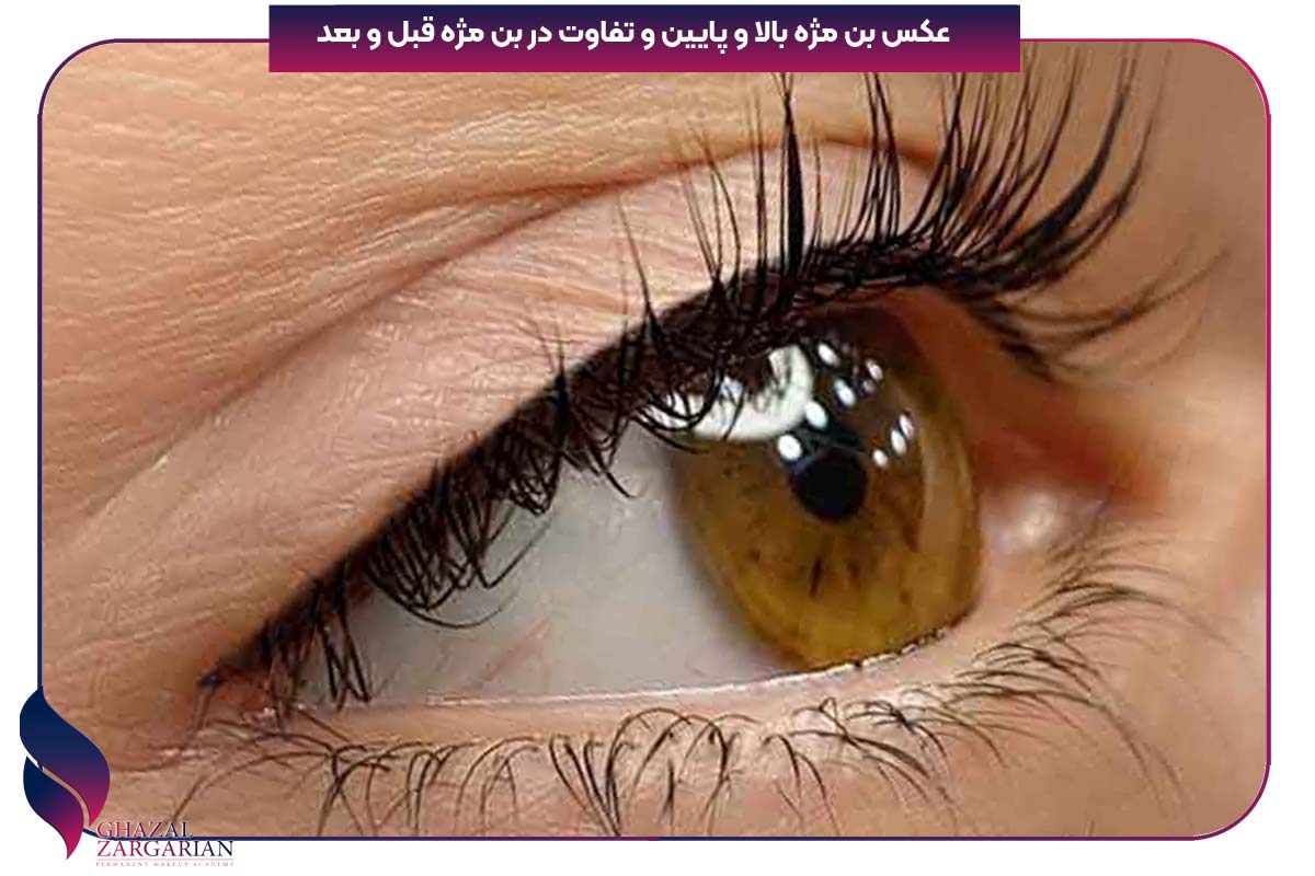 عکس بن مژه بالا و پایین