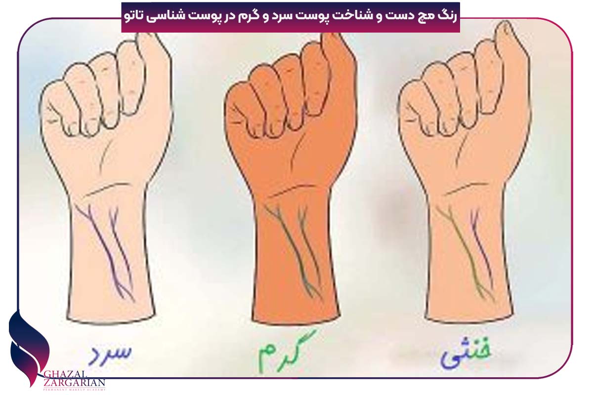 تفاوت رنگ پوست گندمی و سبزه