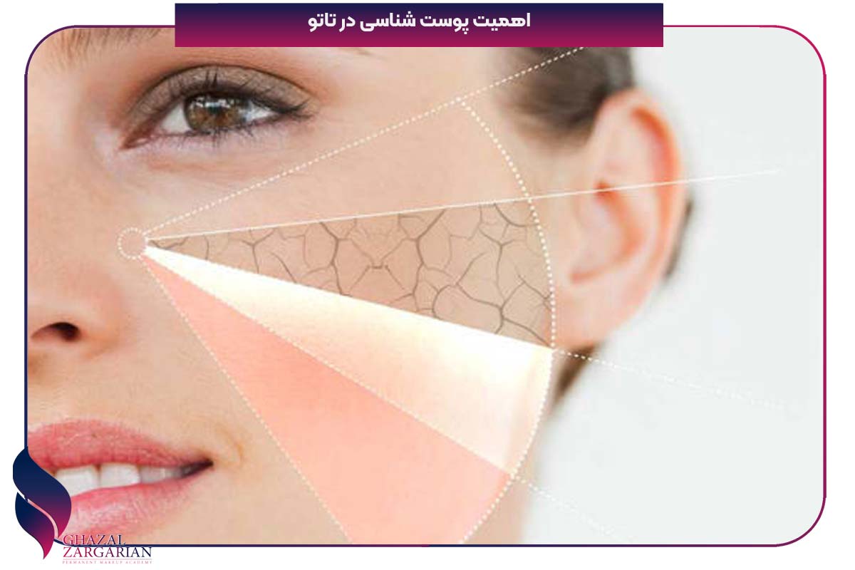 پوست شناسی