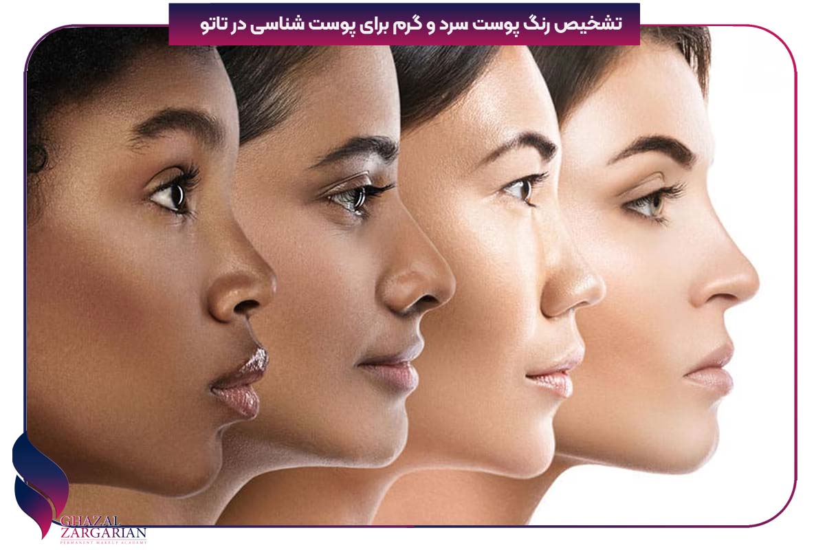 پیگمنت پوست چیست