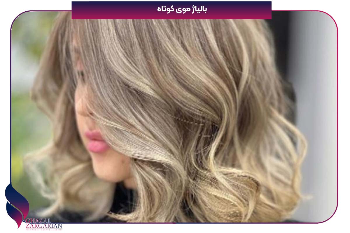 بالیاژ صدفی