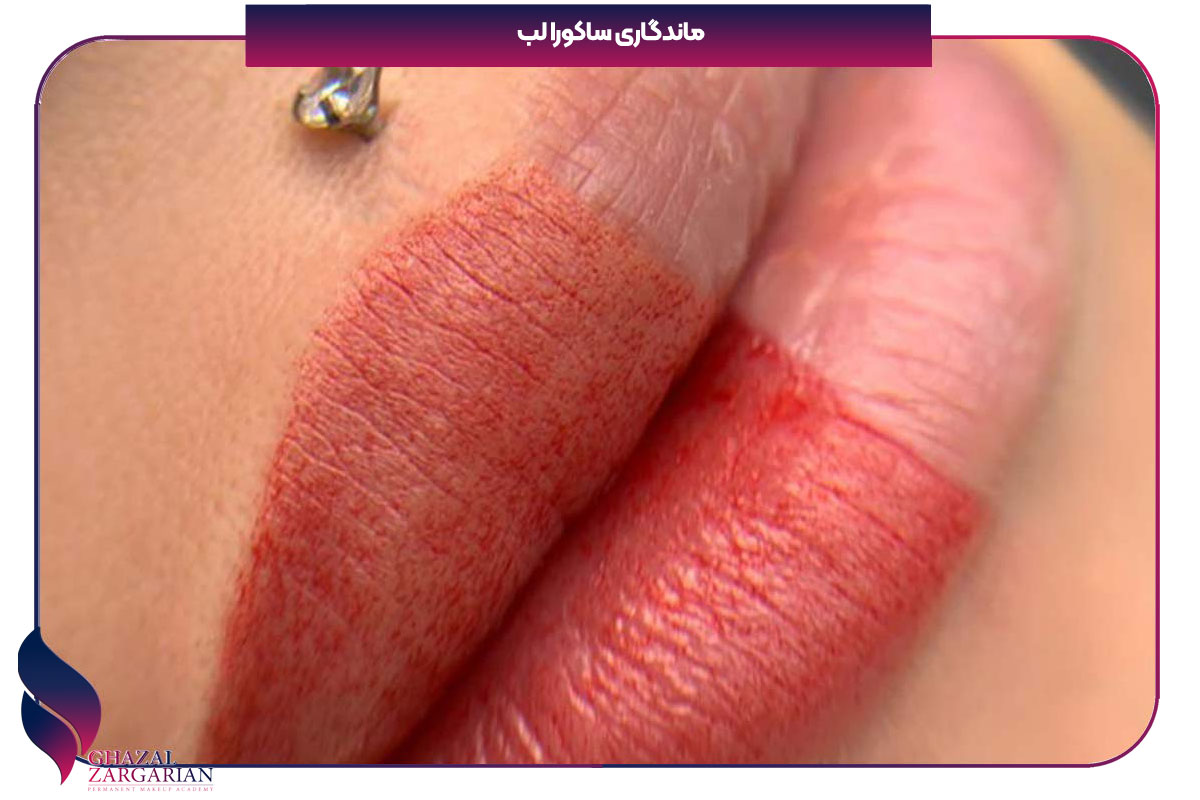 ساکورا لیپس لب